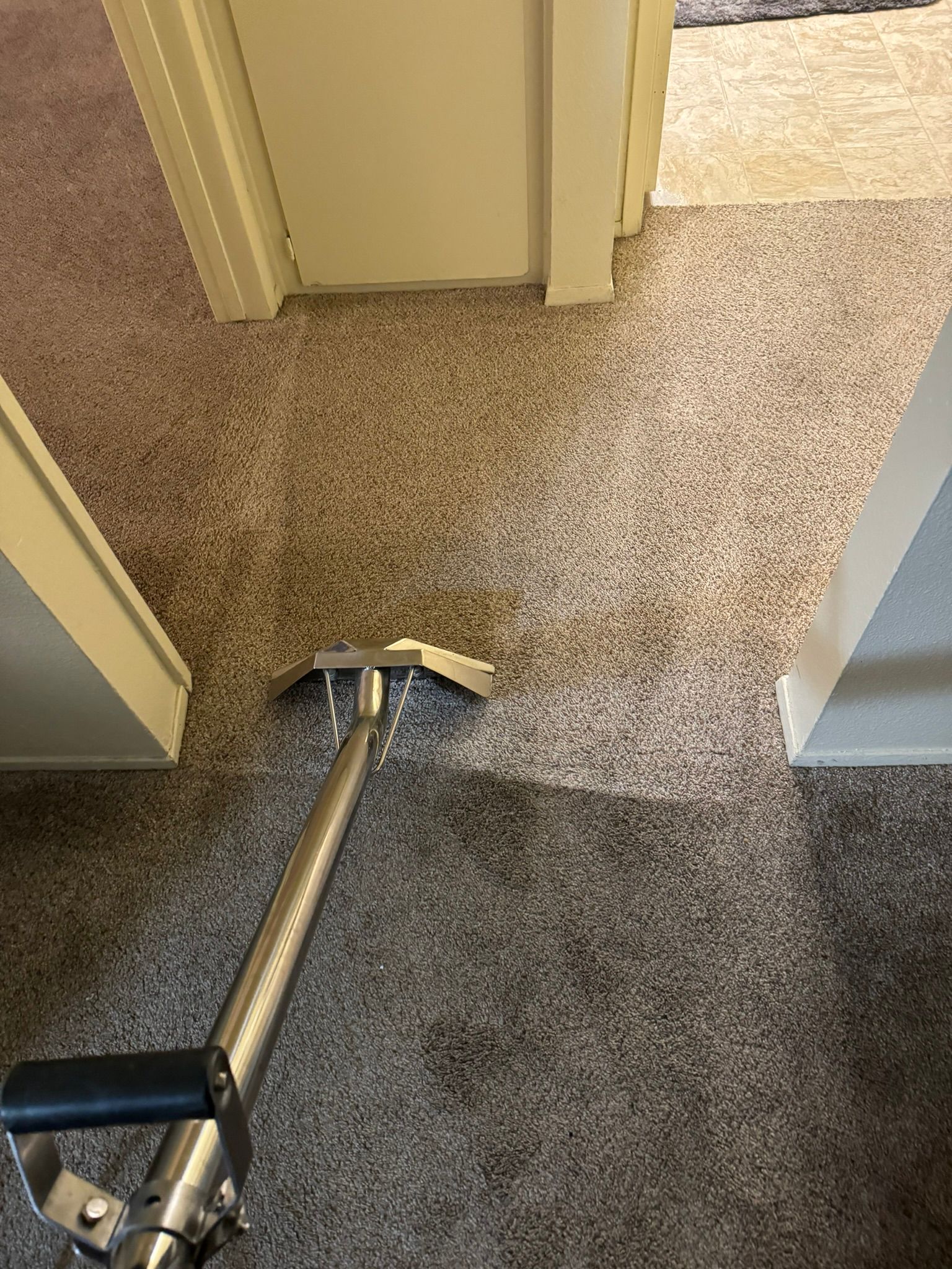 Royalty Carpet Care (7)